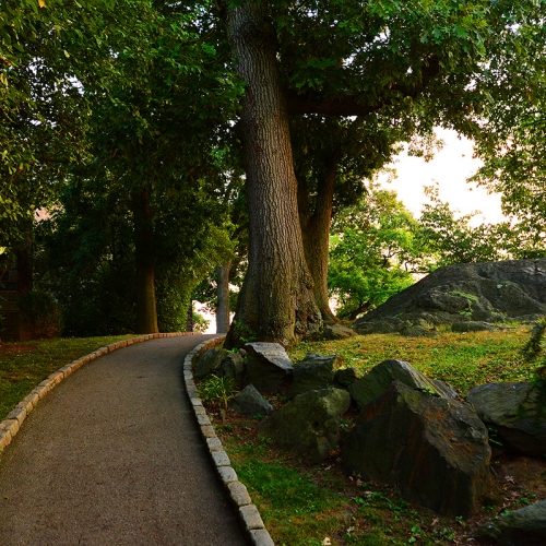 DSC_9148W
