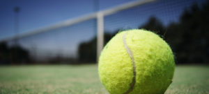 Tennis, Ball, Activities, Fitness